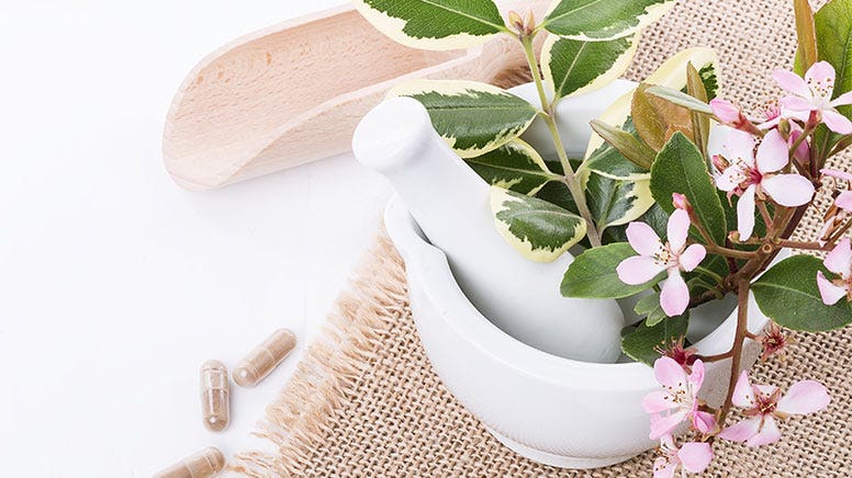 expert-plantes-biosens 30 ans d’expertise dans les bienfaits des plantes et de leur synergie.
